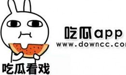 网免费吃瓜黑料泄密,黑料泄密背后的真相与反思